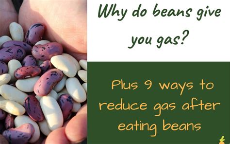 how do you cook beans so they don t give you gas